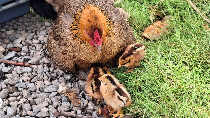 Send your best photos from Maui County to mauiphotos@mauinews.com for a chance to see them featured on our website and in our weekly print edition.